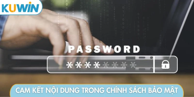 Cam kết về nội dung trong chính sách bảo mật