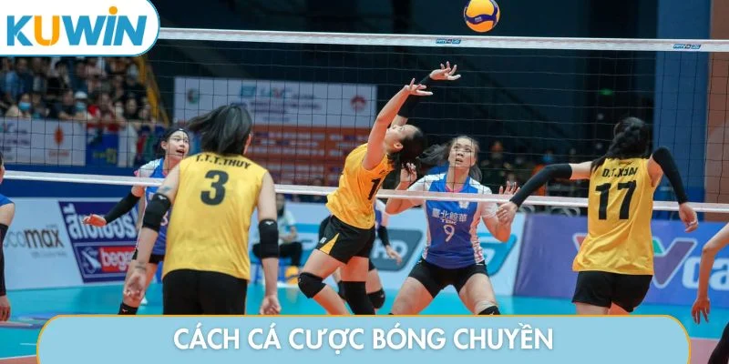 Cách cá cược bóng chuyền